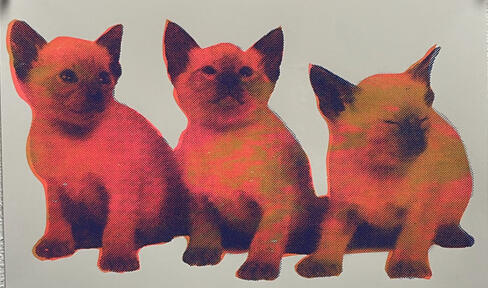 333 - Silkscreen 2026